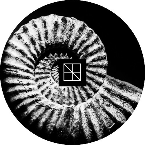  Hioll - Morphogenesis (2025) 