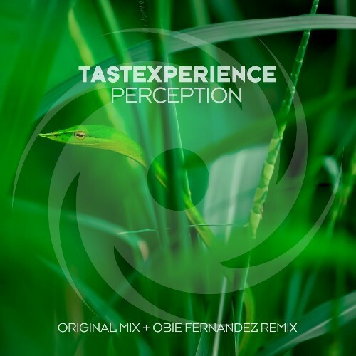  Tastexperience - Perception (2024) 