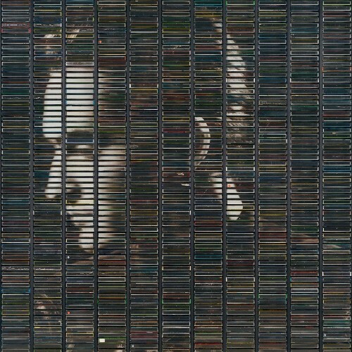  Stephan Eicher - Poussi&#232;re D'or (2025) 