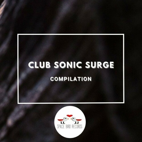  DJ Indollor - Club Sonic Surge (2024)  METIIQR_o