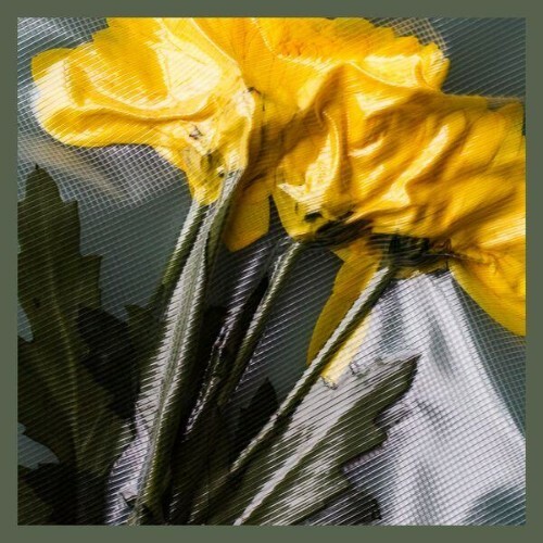 Hunter — Mica (2026)