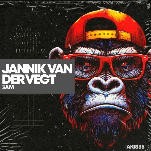  Jannik van der Vegt - 3Am (2025) 