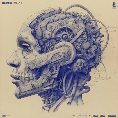  InDust - Insane (2025) 