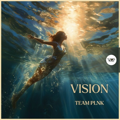  TEAM PLNK - Vision (2024) 