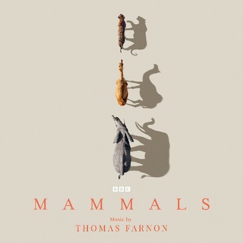  Thomas Farnon - Mammals (Original Television Soundtrack) (2024) 
