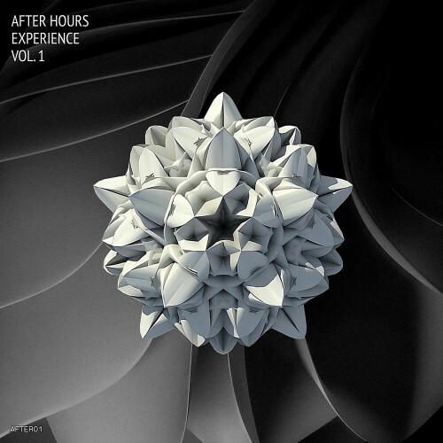  After Hours Experience Vol 1 (2024) 
