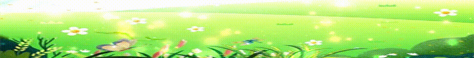 970x120.gif