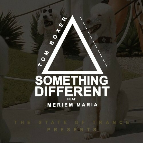Tom Boxer feat. Meriem Maria — Something Different (2024)