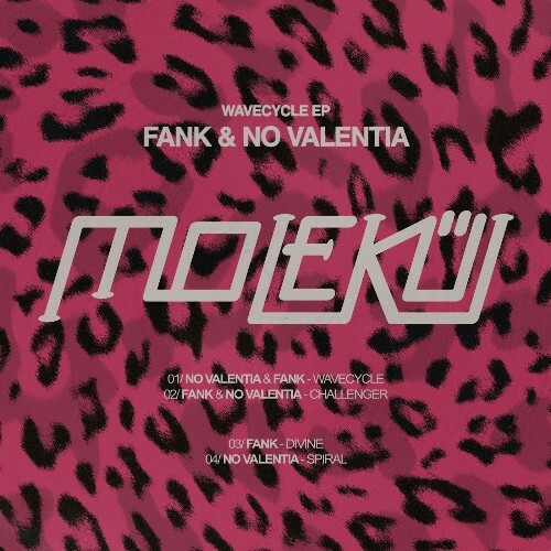 Fank, No Valentia - Wavecycle (2026) Fank, No Valentia - Wavecycle (2026)