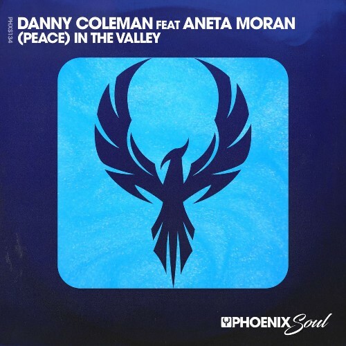 Danny Coleman feat Aneta Moran — (Peace) In The Valley (2026)