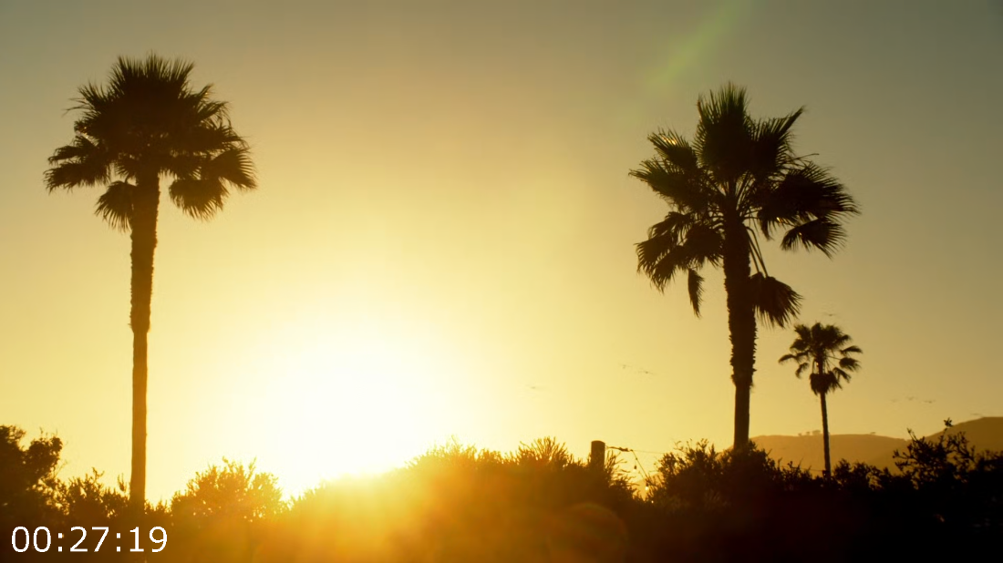 [Image: ME16RIV7_o.png]