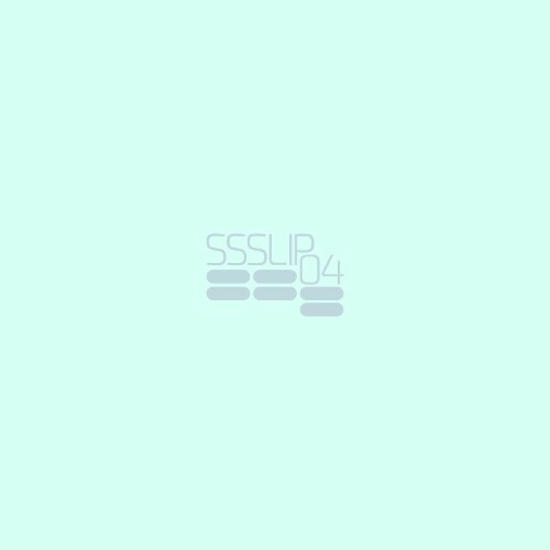  SSSLIP - SSSLIP04 (2025) 