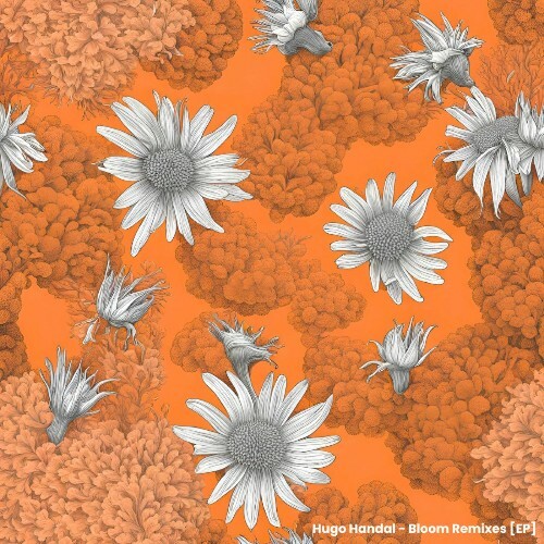 Hugo Handal - Bloom Remixes (2025) 
