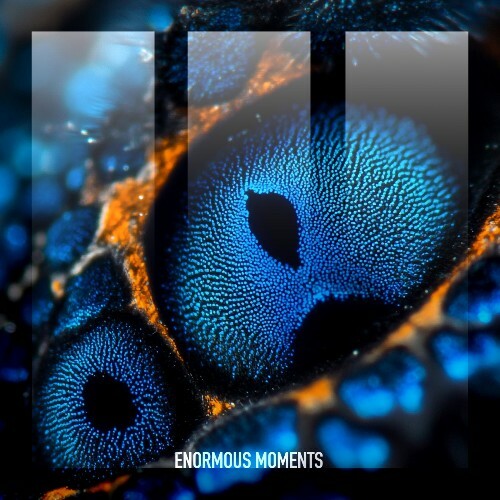  Bar Shaked - Why Don't You Stay (2025) 