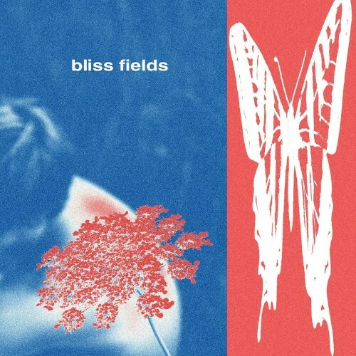  Bliss Fields - Bliss Fields (2024) 