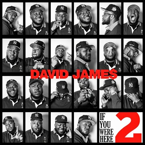  David James - If You Were Here 2 (2025) 