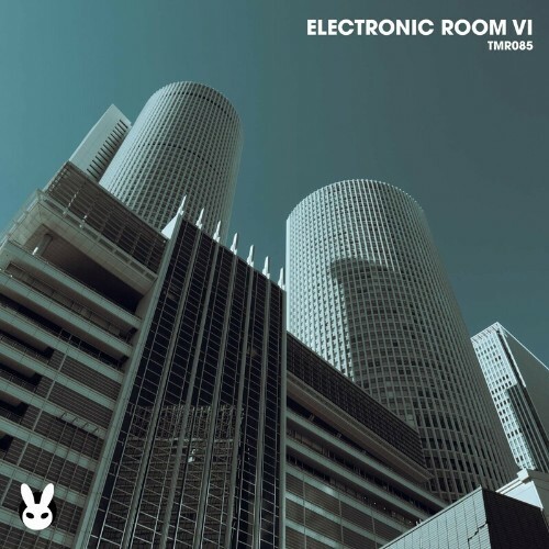  Electronic Room VI (2024) 