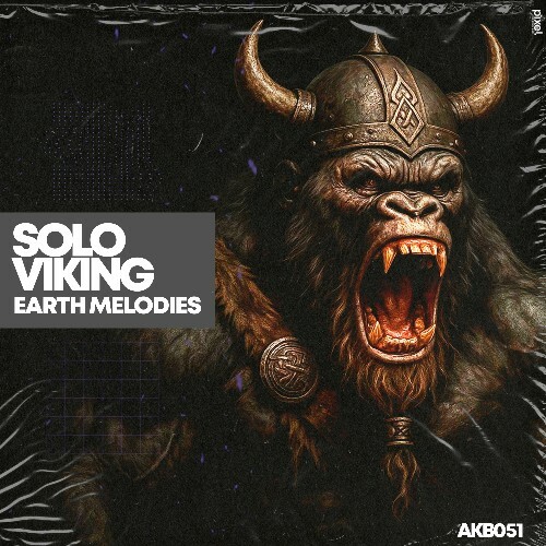  Solo Viking - Earth Melodies (2025) 