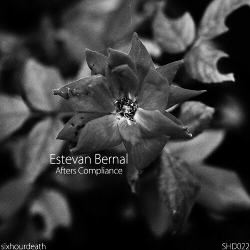 Estevan Bernal — Afters Compliance (2026)