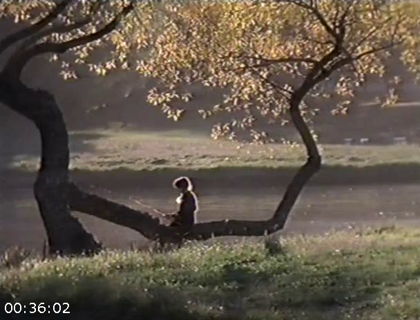 [Image: ME16LCMX_o.png]