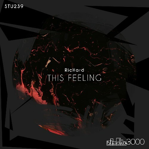  RicHard - This Feeling (2025) 