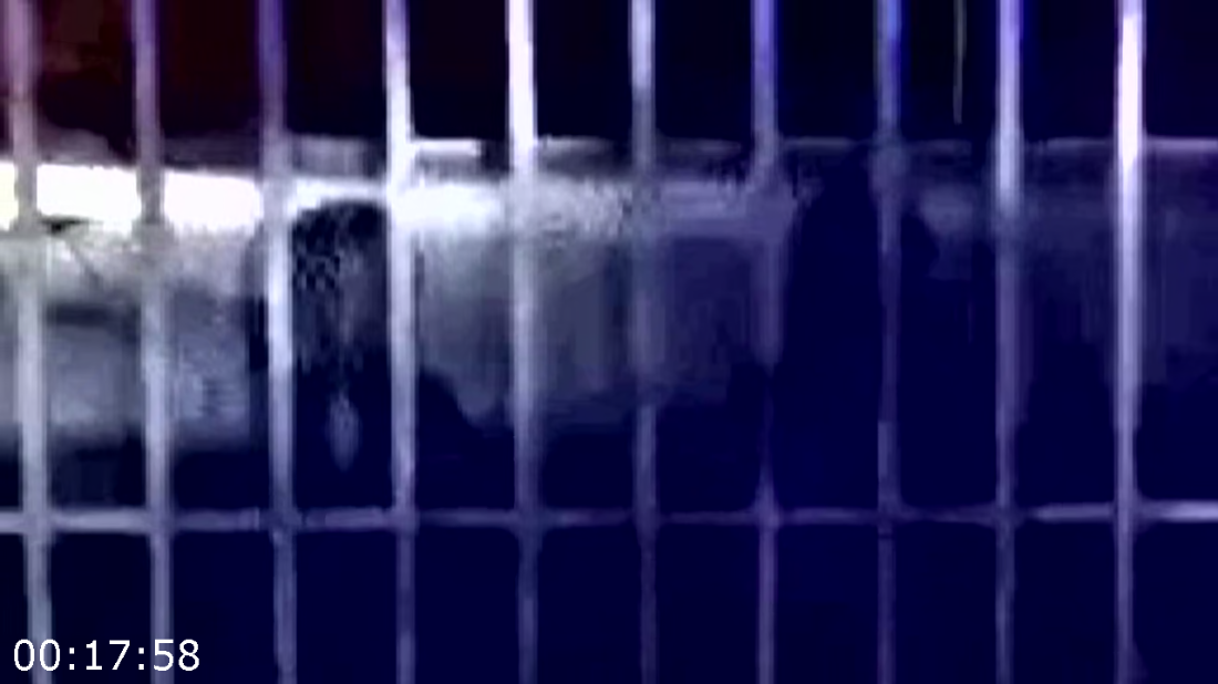 [Image: ME17L81V_o.png]