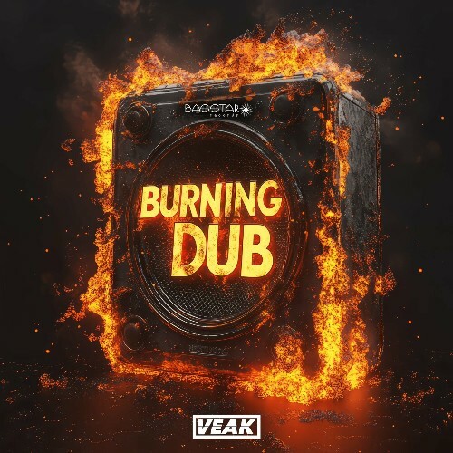  Veak - Burning Dub (2024) 