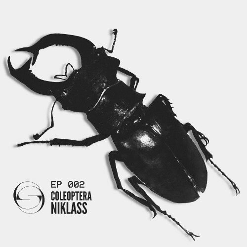  Niklass - Coleoptera (2025) 