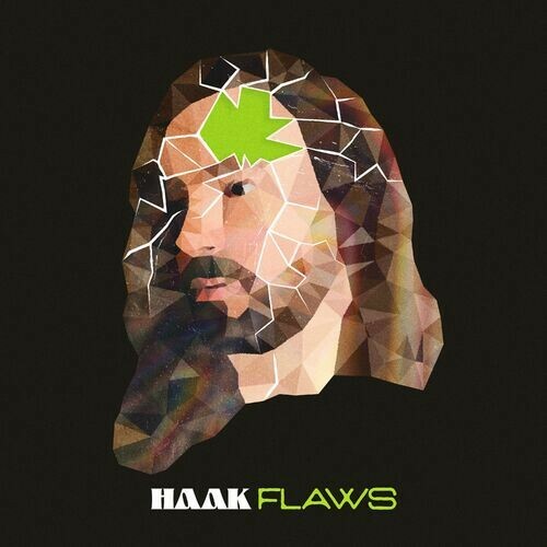 VA - Haak - Flaws (2023) (MP3)