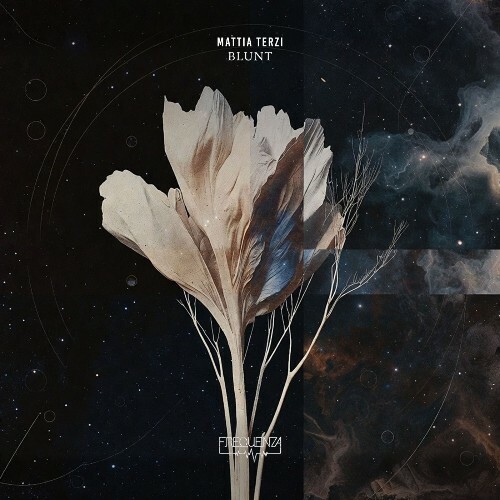  Mattia Terzi - Blunt (2026) 