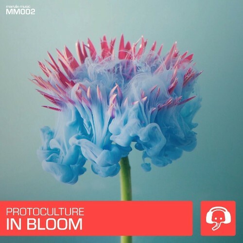  Protoculture - In Bloom (2024) 