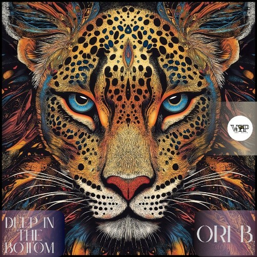 Ori B. - Deep in the Bottom (2025)