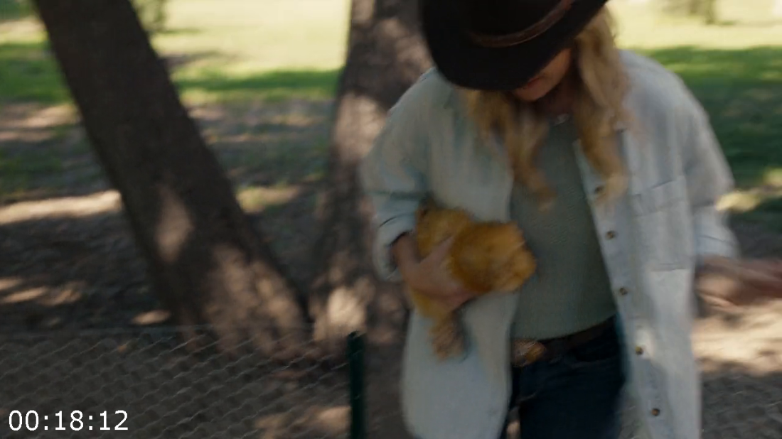 [Kép: ME1B1P4Q_o.png]