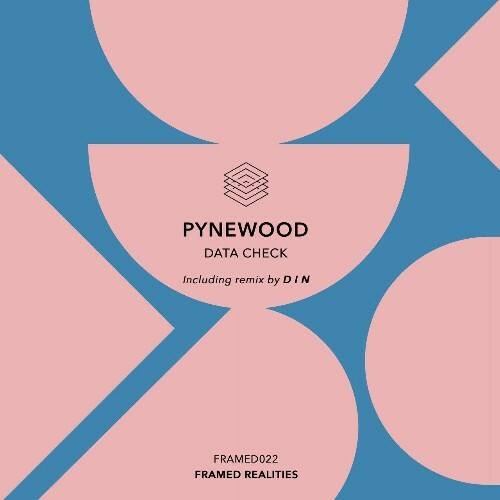 VA - Pynewood - Data Check (2024) (MP3)