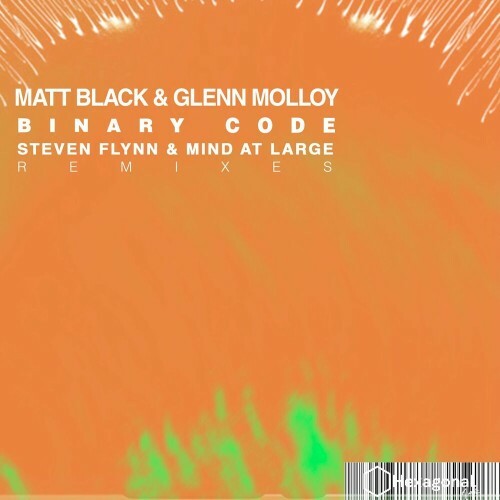 Matt Black & Glenn Molloy - Binary Code (2024)