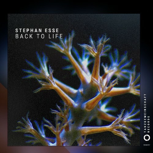  Stephan Esse - Back To Life (2026) 