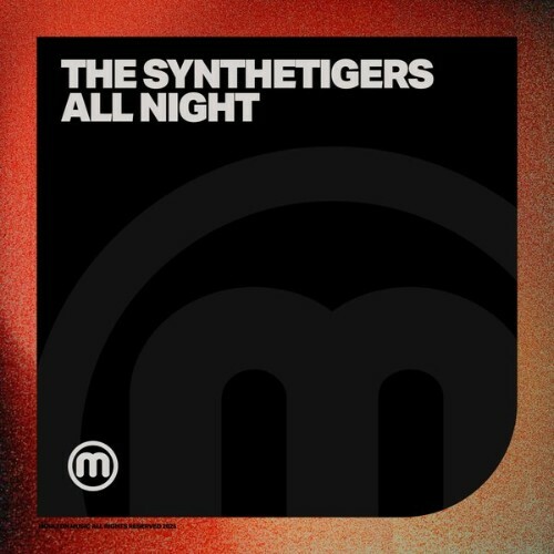  The SyntheTigers - All Night (2025) 