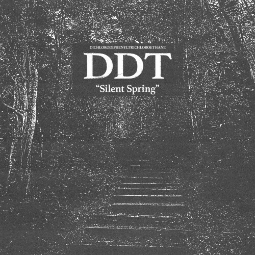 VA -  DDT - Silent Spring (2024) [MP3] MEWAL8R_o