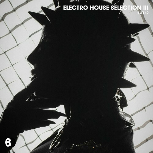 Electro House Selection III (2024)