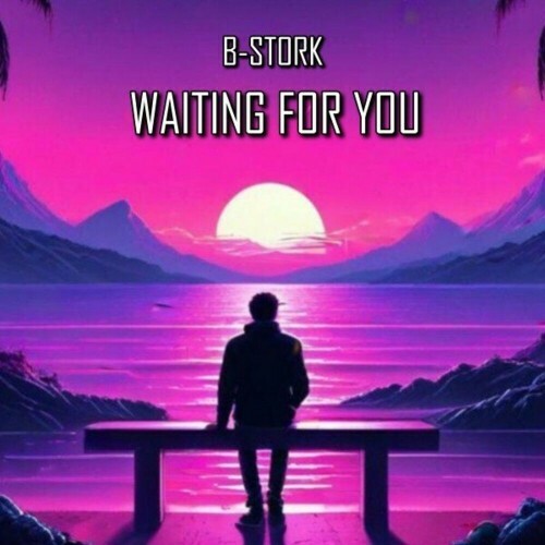 B-Stork - Waiting for You (2024)
