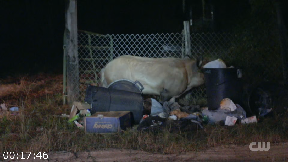 [Image: ME17HTK8_o.png]