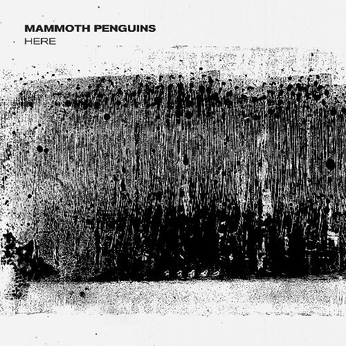  Mammoth Penguins - Here (2024) 