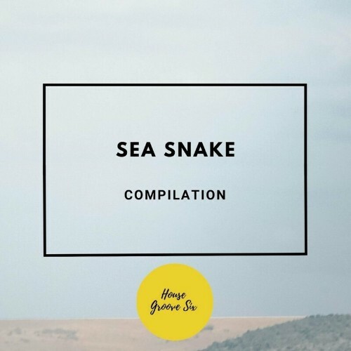 Sea Snake (2024)