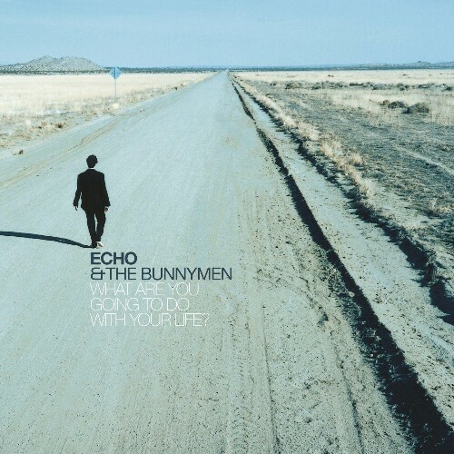  Echo and the Bunnymen - What Are You Going To Do With Your Life? (Remastered & Expanded) (2024) 