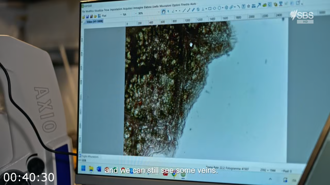 [Image: ME171ODN_o.png]