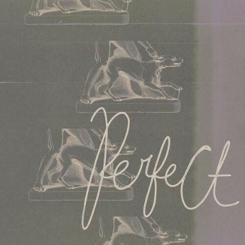  Immaterialize, TOOLZ - Perfect (2026) 