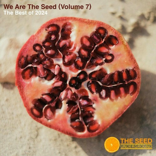  The Best of the Seed 2024 (2024) 