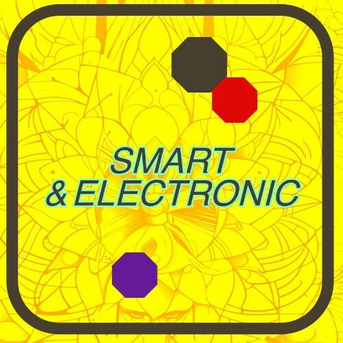  Smart & Electronic (2024) 