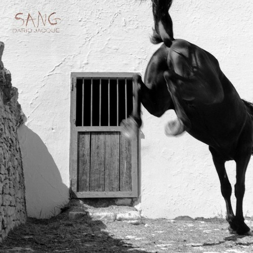  Dario Jacque - Sang (2026) 
