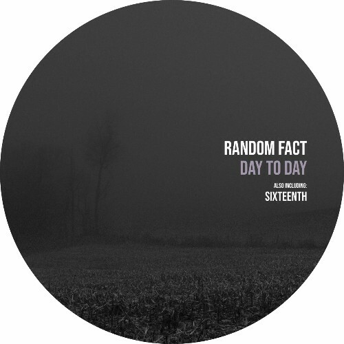 VA -  Random Fact - Day to Day (2024) [MP3] MEWQNAT_o